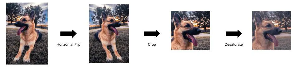 Data augmentation examples. Source: https://encord.com/blog/guide-to-contrastive-learning/